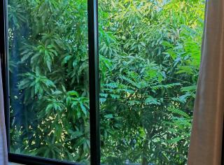 3bdr House in Bangtao with Private Garden, Pet Friendly - 6