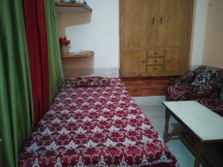 Narendra singh homestay - 1