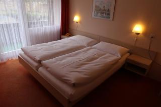 Hotel-Restaurant Seegarten-Marina - Spiez - 8