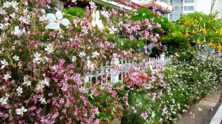Yeosu Beautiful Garden Unshared House Pension - 2