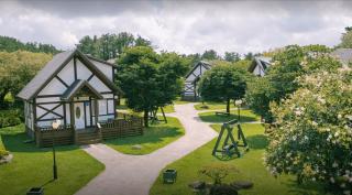 The Forest Aewol - 0