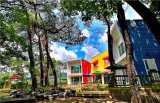 Forest-Day Pension - 0