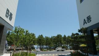 Sokcho Ocean Beach - 4