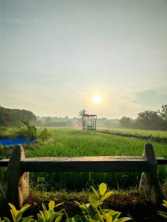 Midorichennai Luxury Farmstay - 6