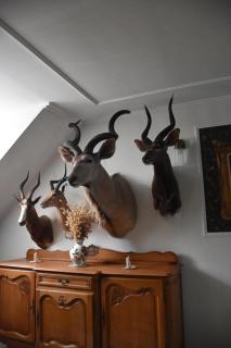 Hárs Fogadó -  - 5