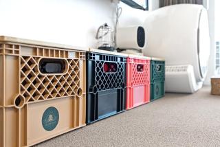 Glamdog - Yeongheungdo Pet-friendly - 2