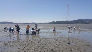 Taean Mom Village Caravan Camping - 7