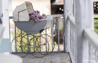 Domaine Des Mousquetaires - 9