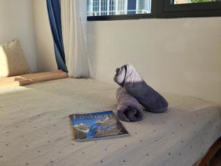 Phòng View Thành Phố Đà Lạt - 5