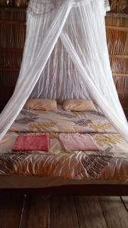 West Waigeo Bungalow - 3