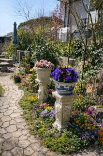 ガーデンリゾート 潮美庵 - 3