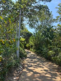 Bamboo Grove Villa - 3