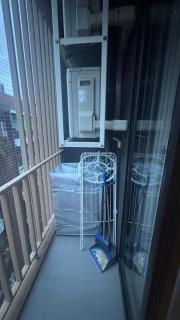 quintara arte 52,on nut - 1