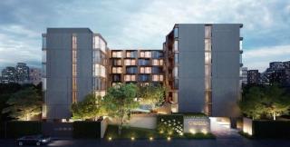 quintara arte 52,on nut - 0