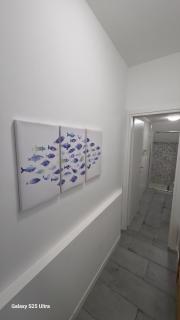 MARINA piano terra - 5