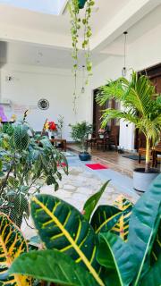 Saffron Swell Villa - 2