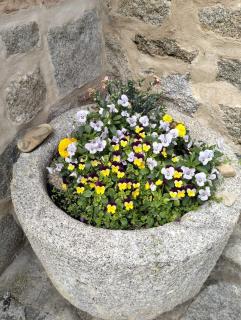 Casa Rural Abuelo Pedro - 4