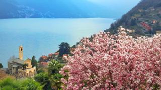 Lake view-historical center-OLGA HOUSE - 3