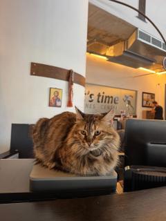 Alex Beach Apartment 34 - 7