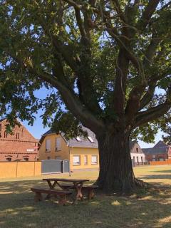 Ferienhaus zur Eiche am Dorfanger - 0