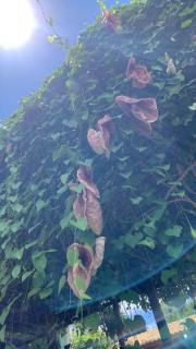 Sítio Martins com lazer completo em Ibiúna, SP - 9