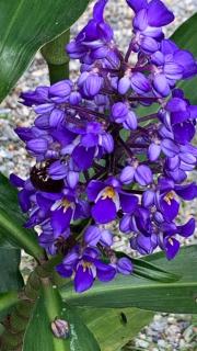 Sítio Martins com lazer completo em Ibiúna, SP - 3