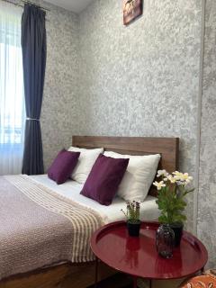 Cozy apartment "KITESA" - 9