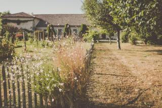 Moulin de Laboirie - Bazas - 8