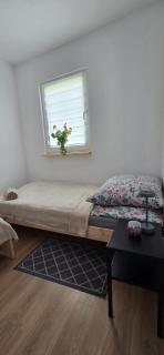 Domki u Sołtysa - 9