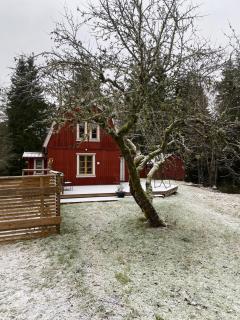 Rustic Wooden Sauna Getaway, Peaceful Nature Stay - 0