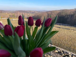 Domek Na Wzgórzu Roztocze - 4