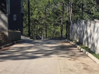 Chalet Moderno entre Pinos con Vista al Bosque - 4