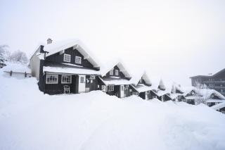 Beito Resort Hytter - 7