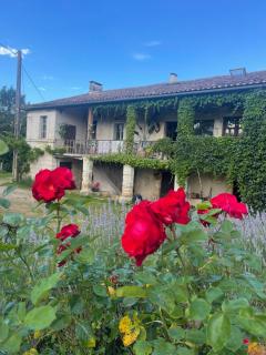 mill house in the dordogne - 0