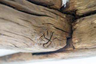 Nengshof Ferienhaus Gänseblümchen - 3