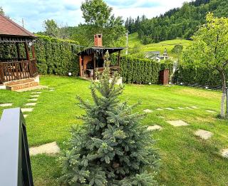 Cazare Colibita - Casa Lipan cu jacuzzi, foișor și loc de joacă - 4