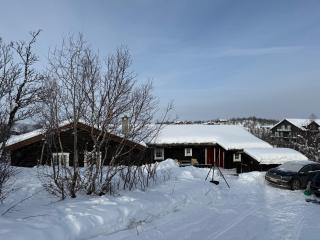 Large, cozy, and spacious cabin in Geilo, Kikut - 5