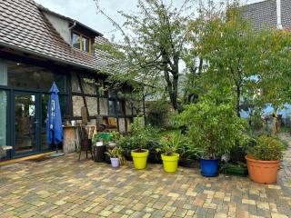 Le Refuge du 55 - Epfig - 8