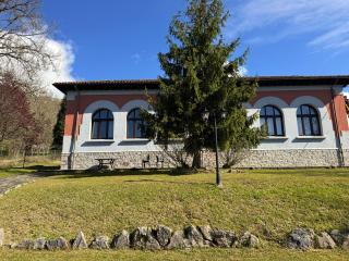 Escuelas de collía B - 8