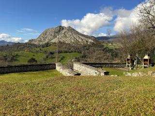 Escuelas de collía B - 7