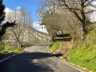 Escuelas de collía B - 6