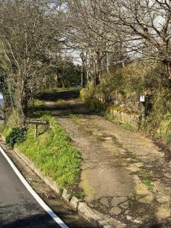 Escuelas de collía B - 5