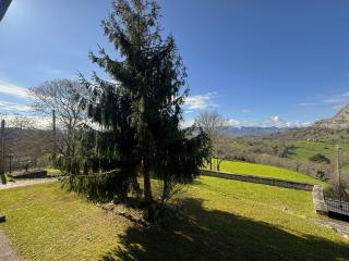 Escuelas de collía B - 4