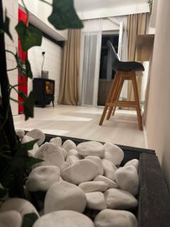 Bucovina Views Nature Touch Getaway Ultracentral Apartment - 6