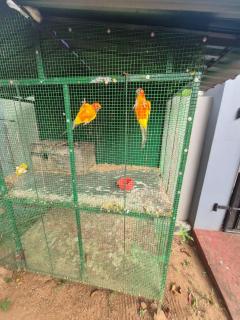 Naturehouse - 4