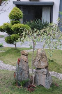 Uma Residence and Suites - 3