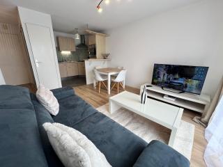 Franck- T2 tout confort -wifi-parking-balcon - 8