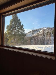 Arctic Luxury Cabin Northern Lights View - 5