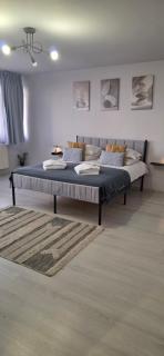 Zorilor Cactus Apartment - 9