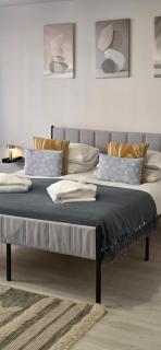 Zorilor Cactus Apartment - 8